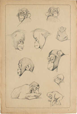 Ватагин Василий Алексеевич. Лот из четырех листов из альбома «Рисунки в автолитографиях»